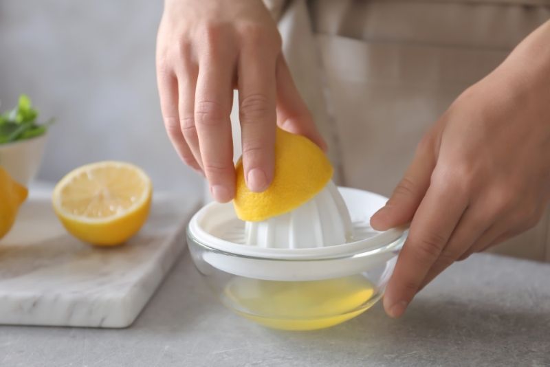 Best Lemon Extract SubstitutesBest Lemon Extract Substitutes