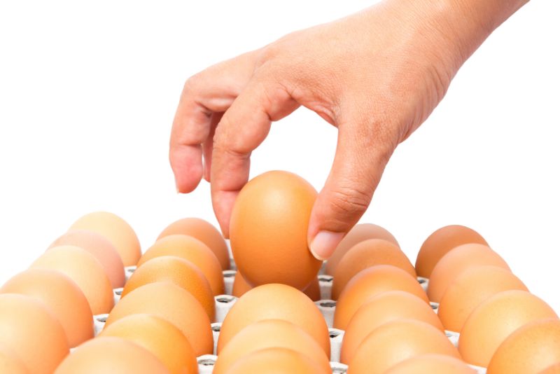 How To Choose the Best Eggs